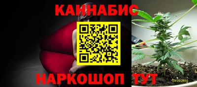 мдпв Славгород