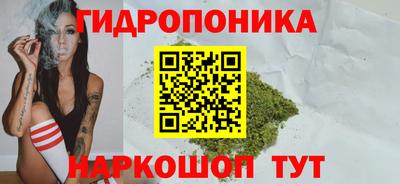 мдпв Славгород