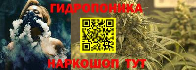 мдпв Славгород