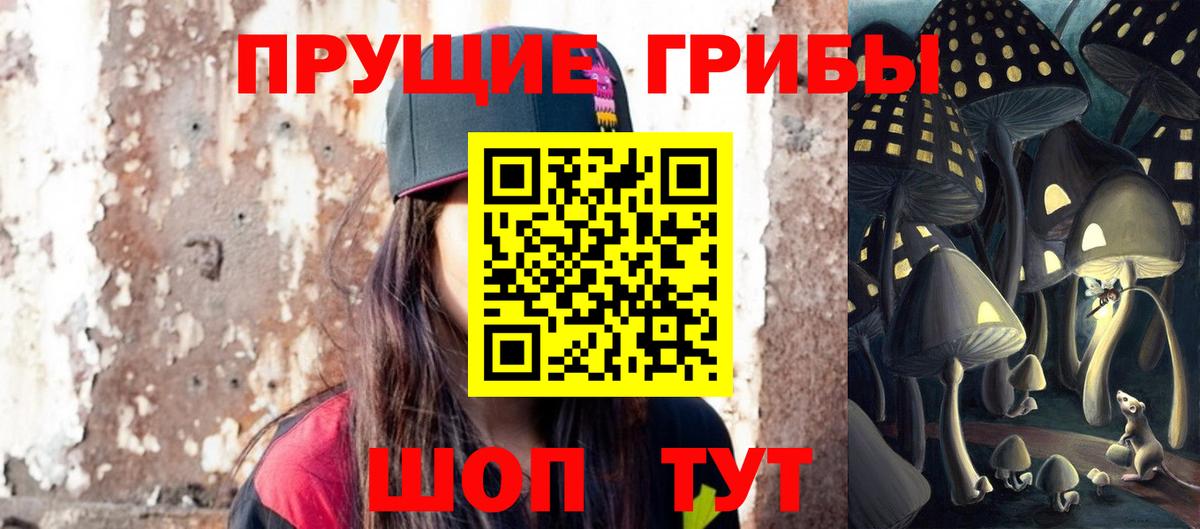 Галлюциногенные грибы Psilocybine cubensis Октябрьский
